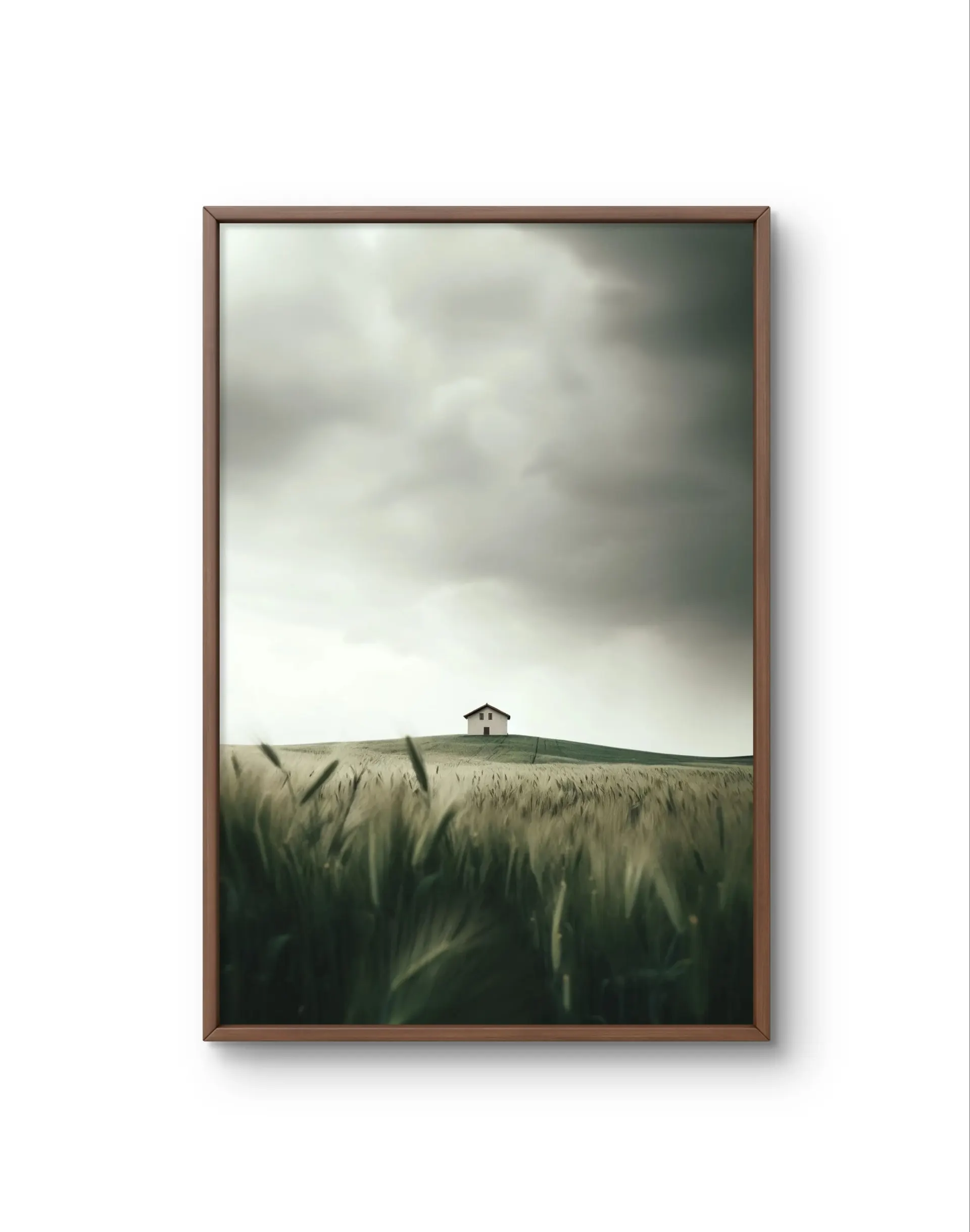 Bellucci - Solitude on the Hill — Fotografie Kunstdruck von Bellucci