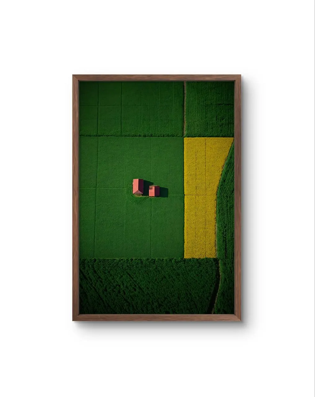 Bellucci - The Red Houses in a Sea of Green — Fotografie Kunstdruck von Bellucci