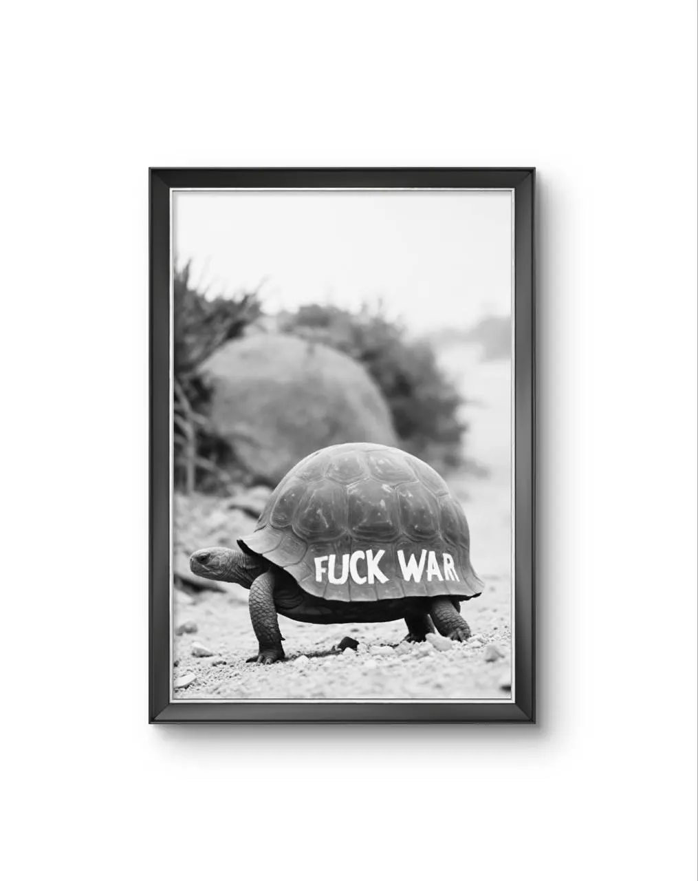 Bonaque - A Statement on the Shell — Fotografie Kunstdruck von Bonaque