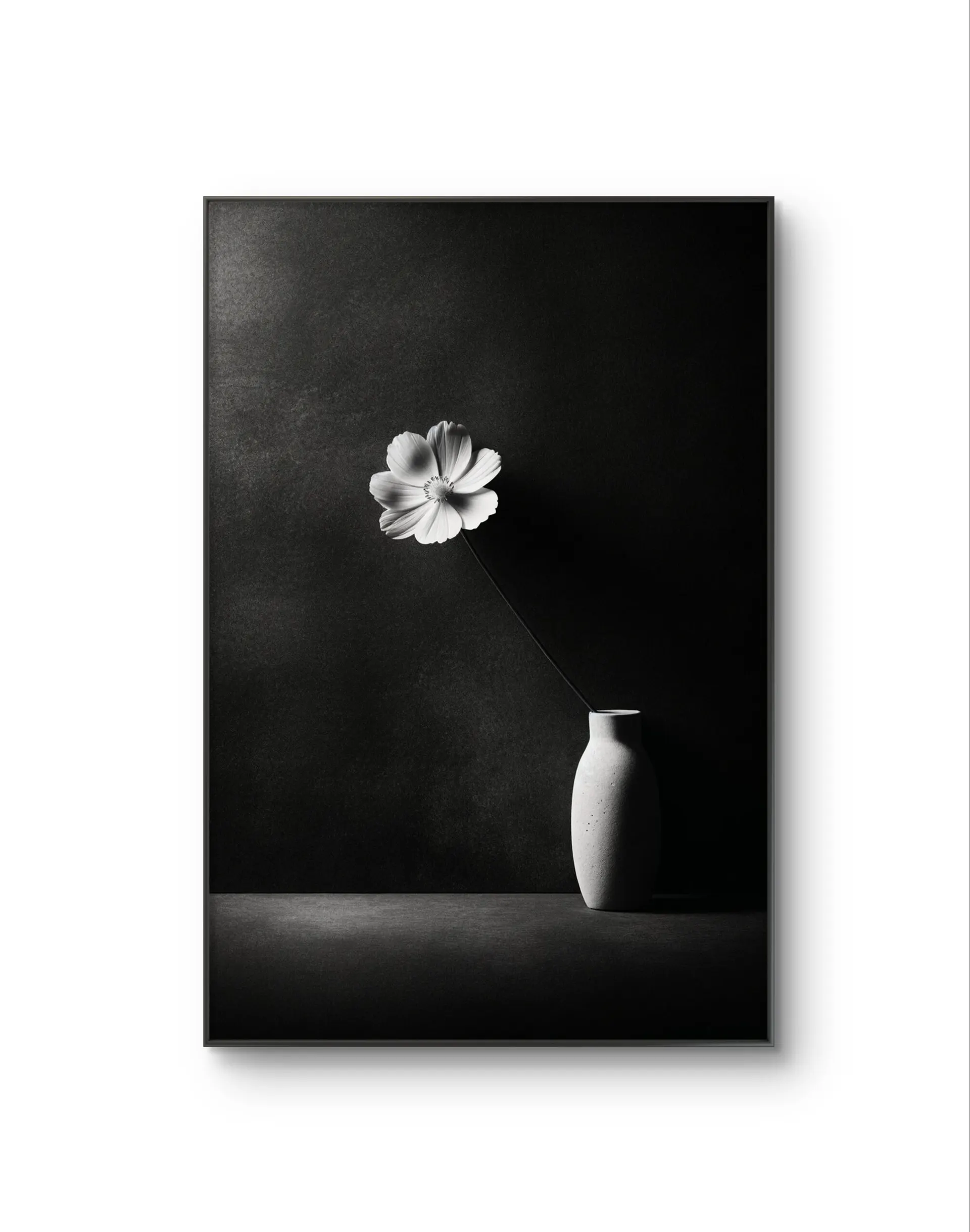 Bonaque - Elegance in Simplicity — Fotografie Kunstdruck von Bonaque