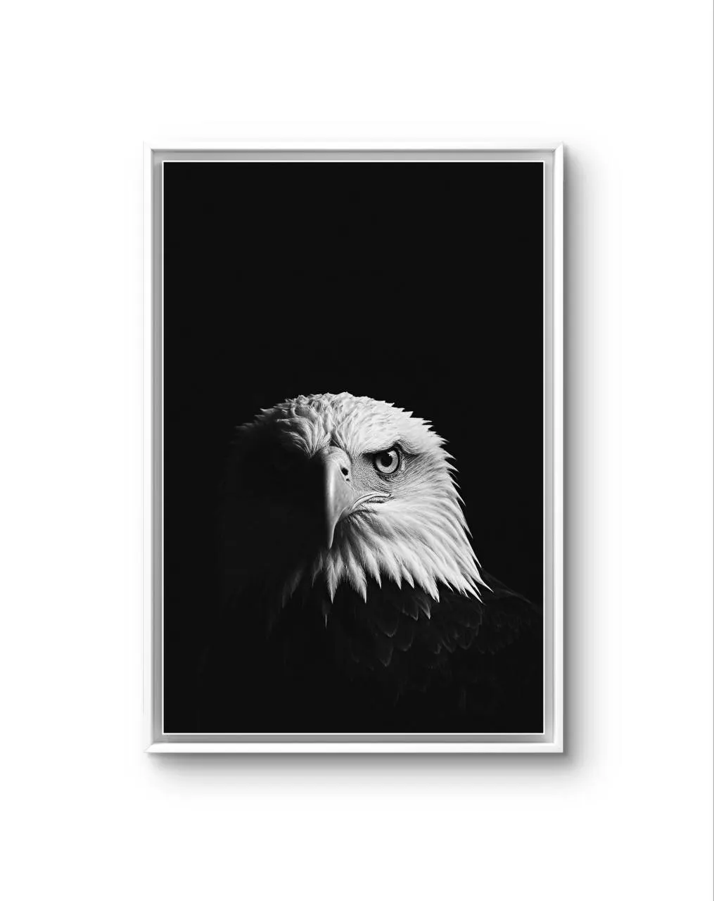 Bonaque - Majestic Sentinel — Fotografie Kunstdruck von Bonaque