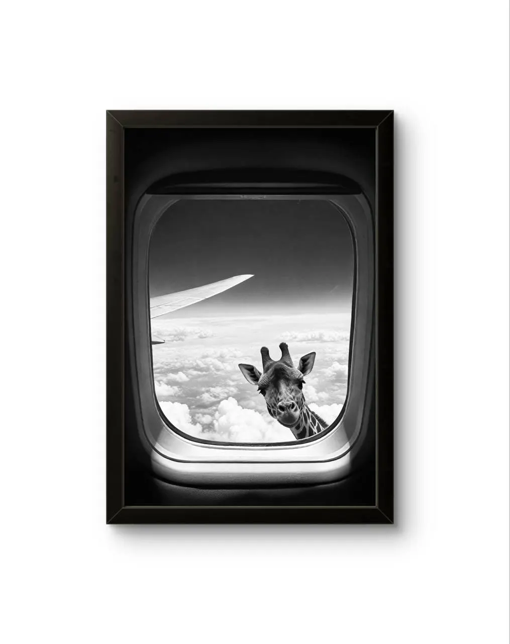 Bonaque - Skybound Curiosity — Fotografie Kunstdruck von Bonaque