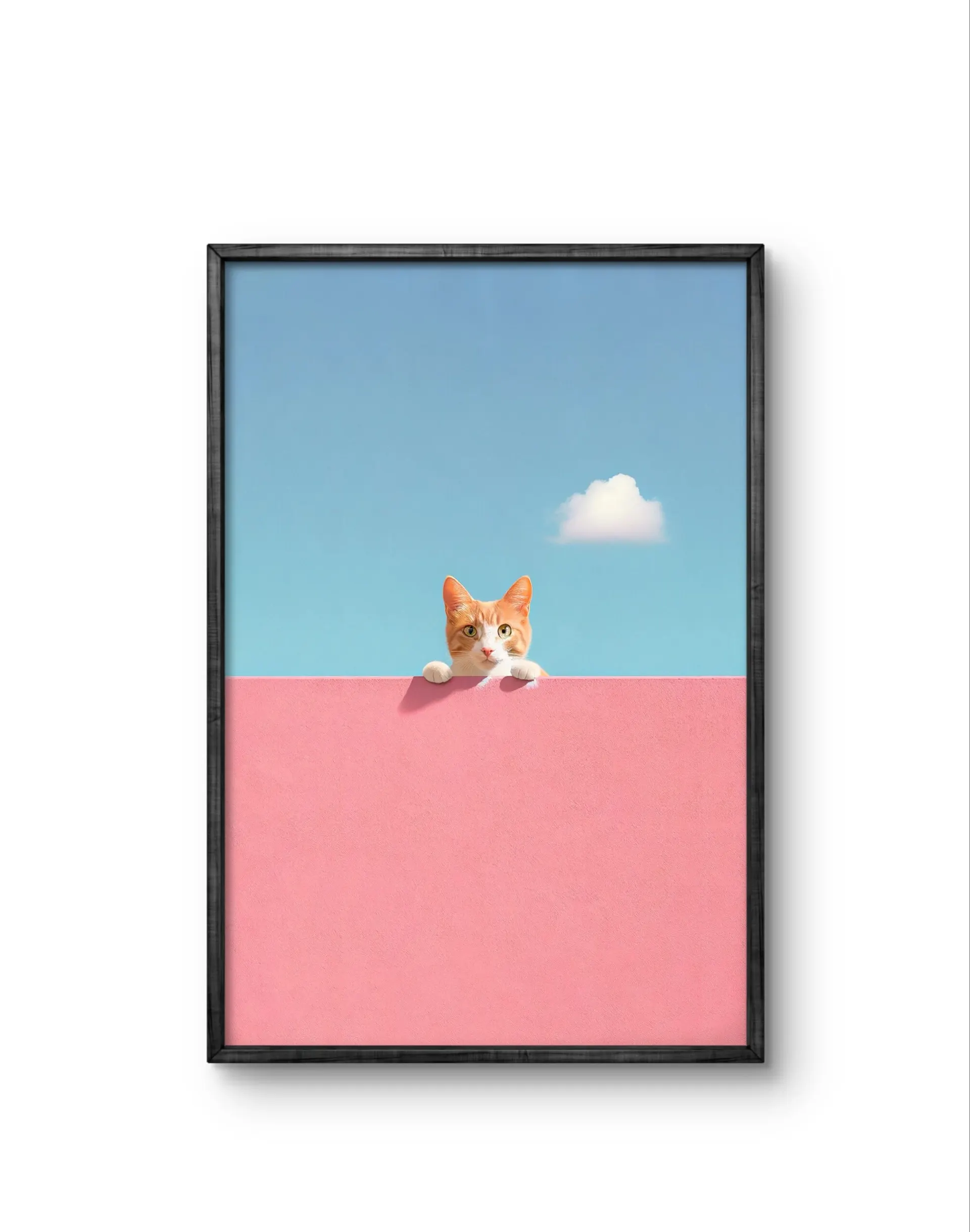 Lumivista - Curious Whiskers — Fotografie Kunstdruck von Lumivista